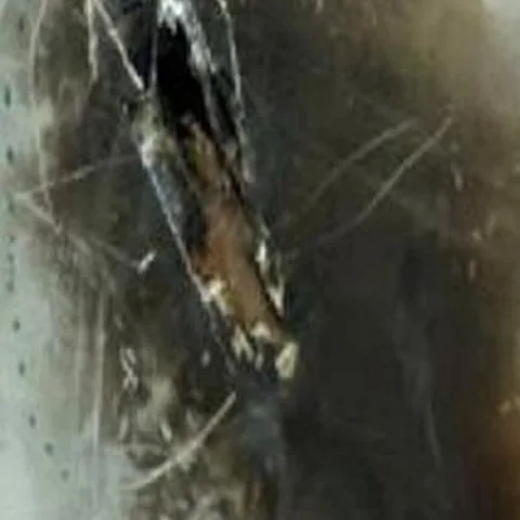 Impacto de rayo detectado por la IA en la superficie de una pala